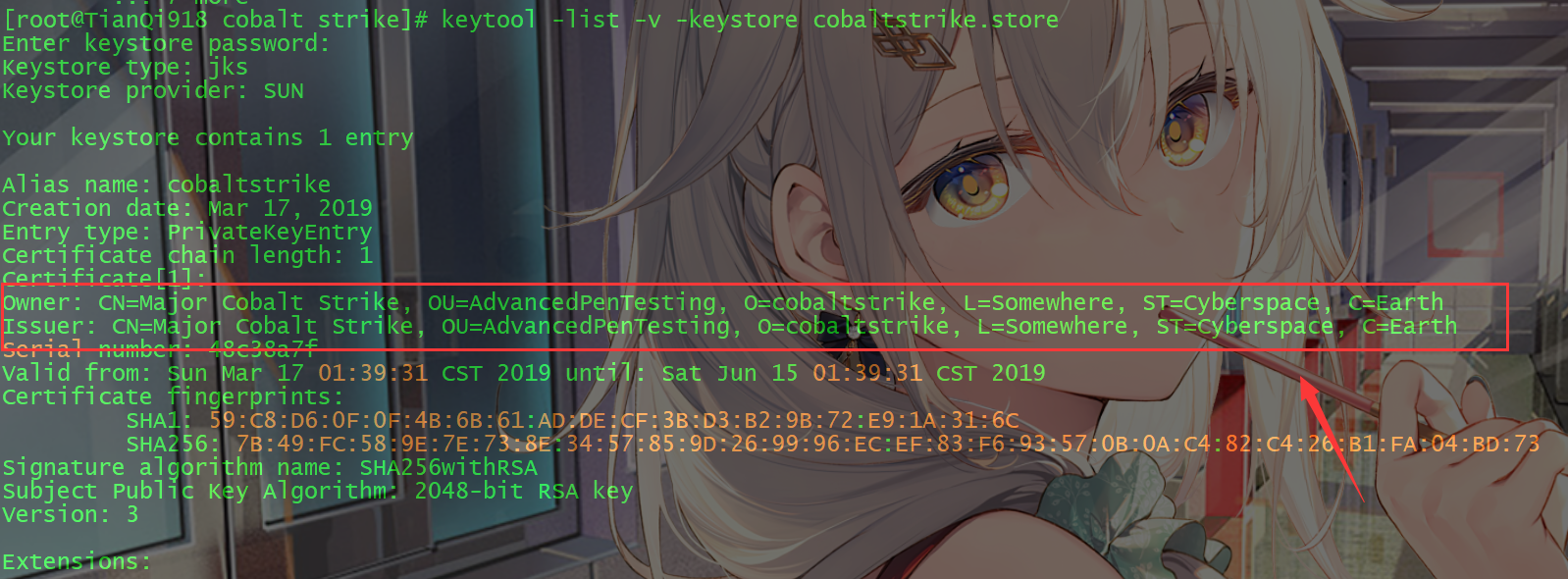 image-20231223225429537
