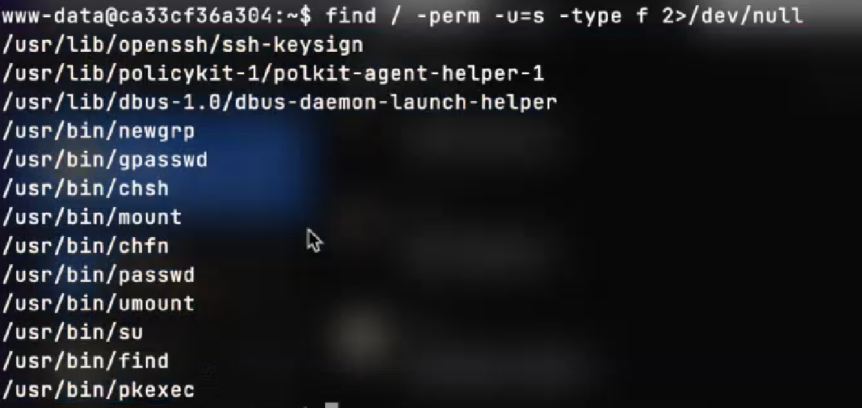 image-20240125174911226